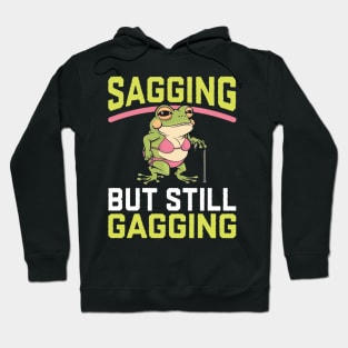 Adult humour funny Hoodie